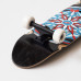 Круизер Footwork Compass 7.87